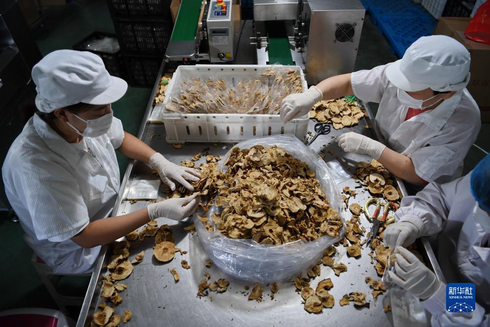 百万炸金花苹果
